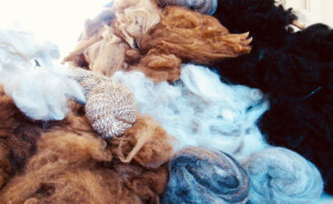 Complete-Guide-All-Types-of-Wool-Explained Wool varieties showcased in a comprehensive guide, covering all types.