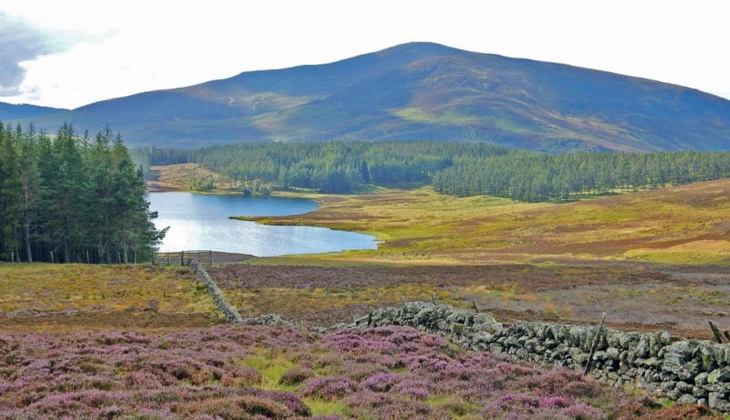 Scenic view showcasing the beauty of Scotland.